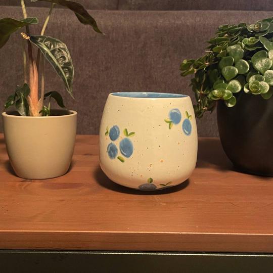 Beker met blauwe besjes